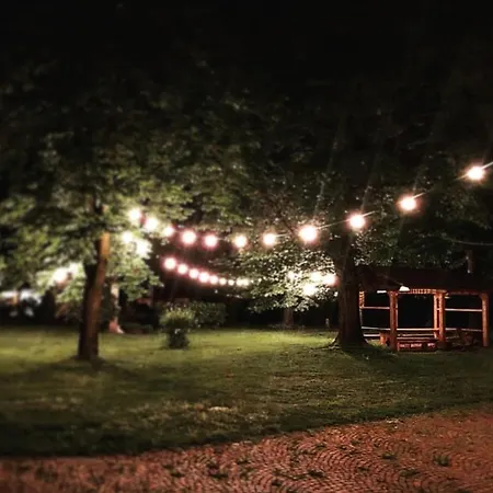 Tommy Vitello Couette-café