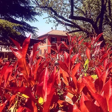 Tommy Vitello Couette-café Cassano Magnago