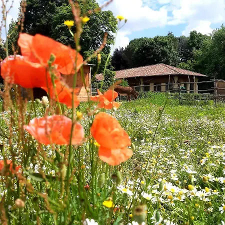 Couette-café Tommy Vitello Cassano Magnago